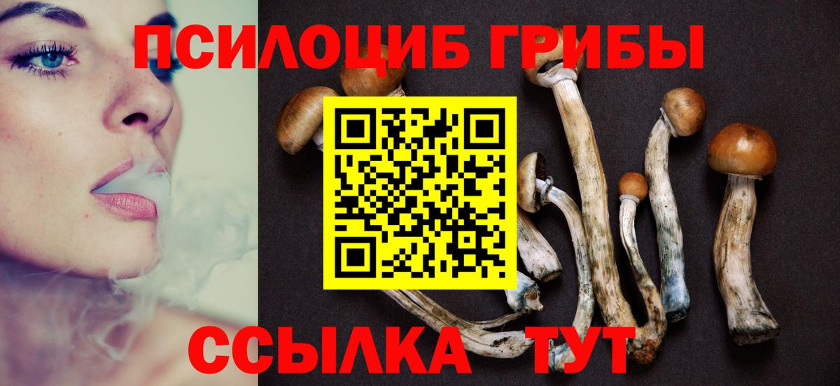 Псилоцибиновые грибы GOLDEN TEACHER Тында